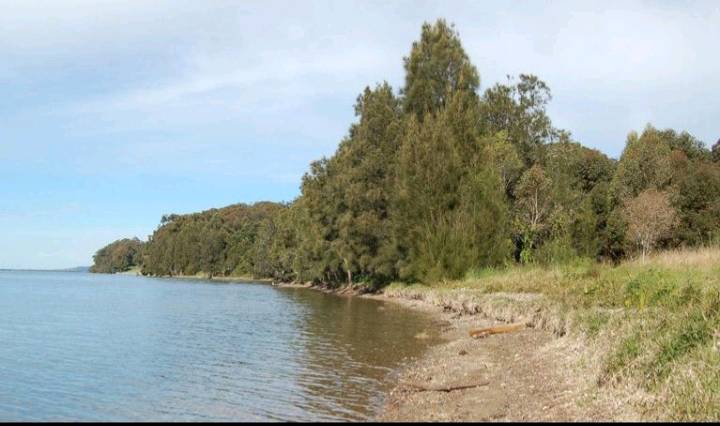 Police reviewing claims old YMCA campsite could be linked to Newcastle-area cold cases