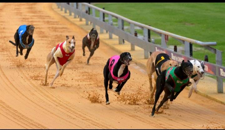 Upset wins in Middle Distance Heats at TABtouch Park Mandurah