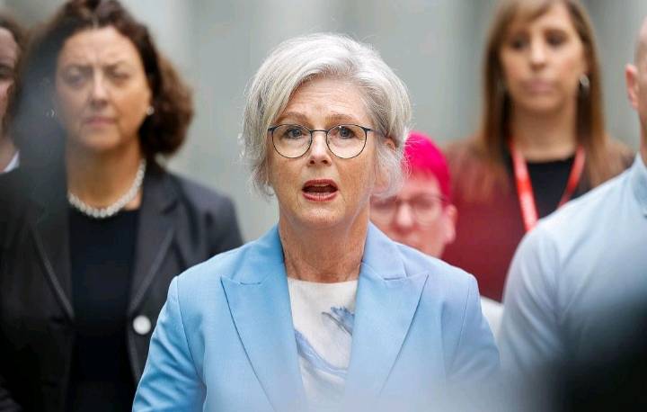 Helen Haines: Indi MP rejects independent party concept