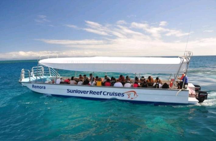 Title: Cairns tour operator tight-lipped after boat crashes into Great Barrier Reef