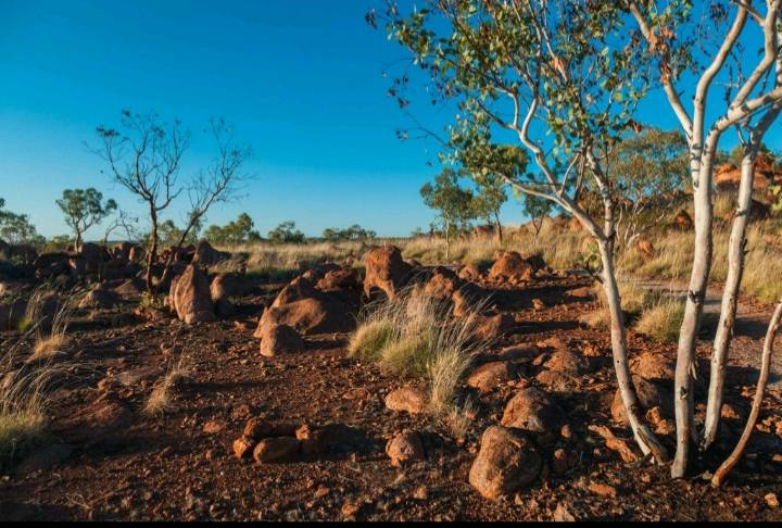 Texan Energy Lawyers Visit Northern Territory to Study Indigenous Land Agreements