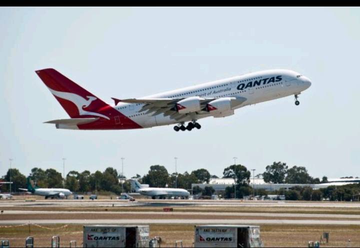 Qantas Adds Extra Melbourne Flights as Fremantle Grand Final Fever Sweeps WA