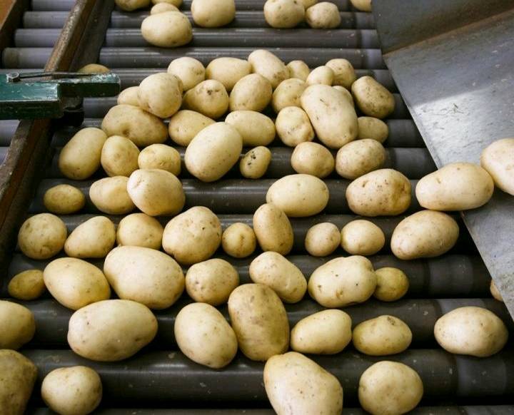 Galati Group Fined Over Illegal Development at Spuddies Chip Factory