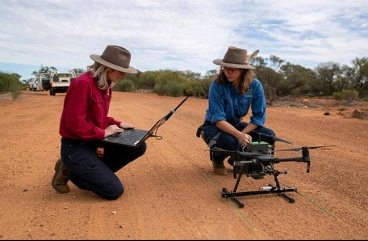 Drones and Artificial Intelligence Help Bring Endangered Birds Back from the Brink