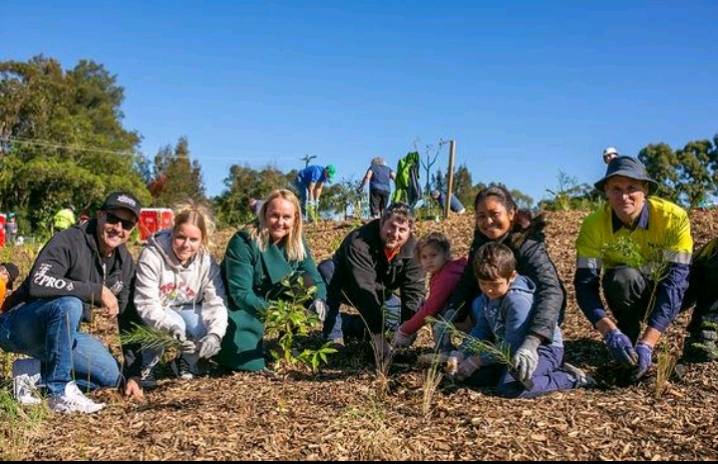 Wallsend Community Tiny Forest Project Expands to Combat Urban Heat