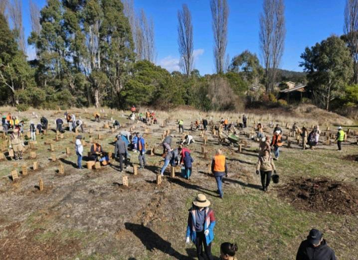 Albany Hosts Community Tree Planting to Strengthen Local Environment