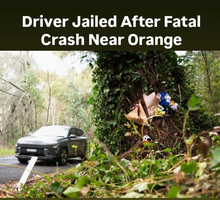 Driver Jailed After Fatal Crash Near Orange