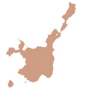 八重山フレンドリーリーグ2025