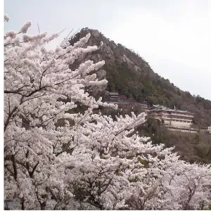 八日市北FCサッカーフェスティバル2026　U12 SPRING