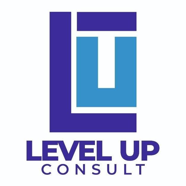 Level Up Consult