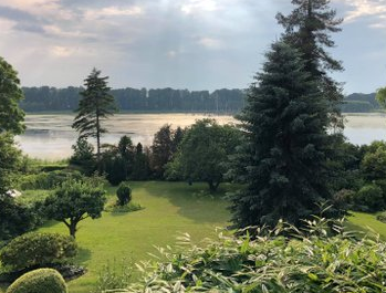 Orgelfestival 2024 -Orgelmuseum