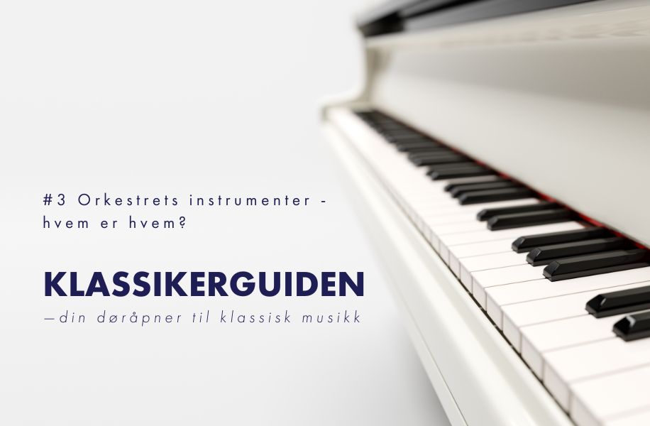 Bli kjent med orkestret!