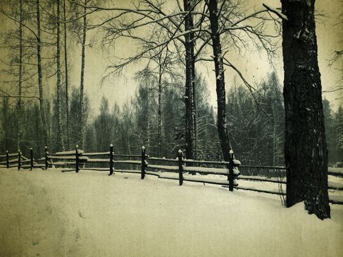 A Winter’s Journey in Strøget