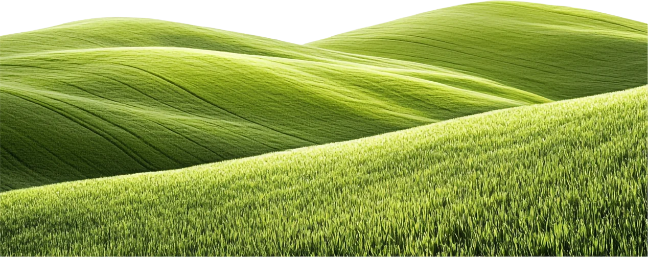 Ícone
