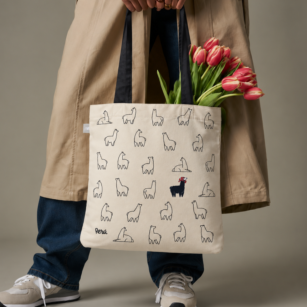 Cartera Kusi Pajar