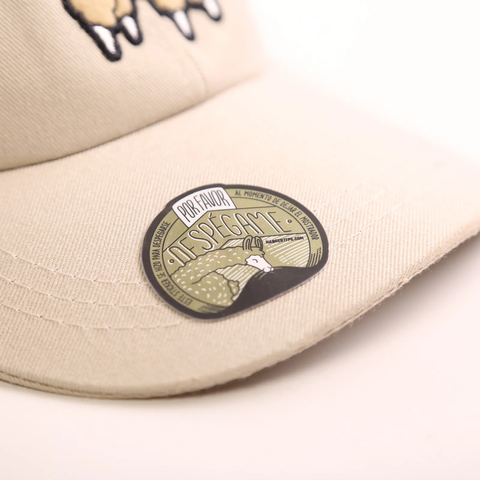 Gorra Ari
