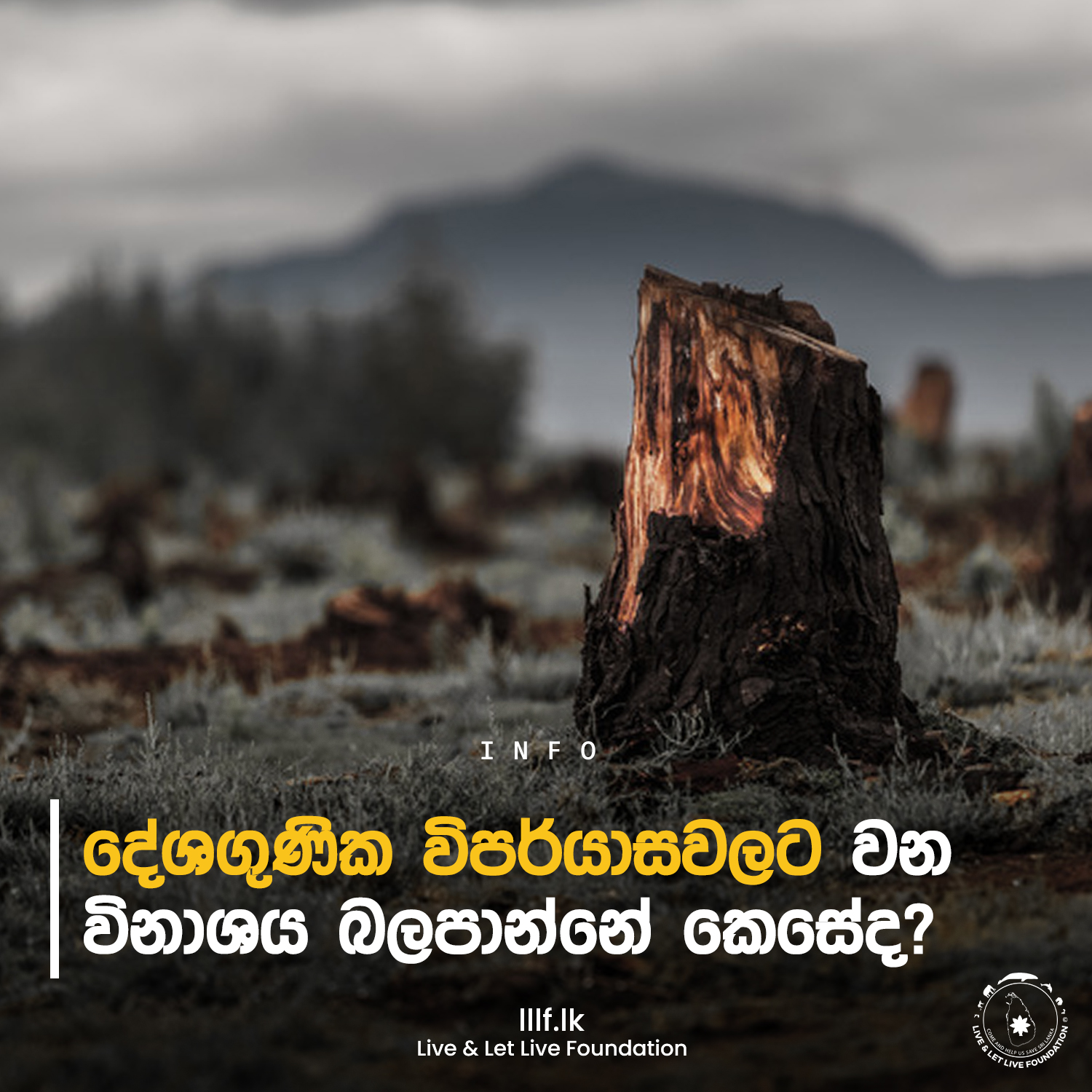  දේශගුණික විපර්යාස වලට වන විනාශය බලපාන්නේ කෙසේද?