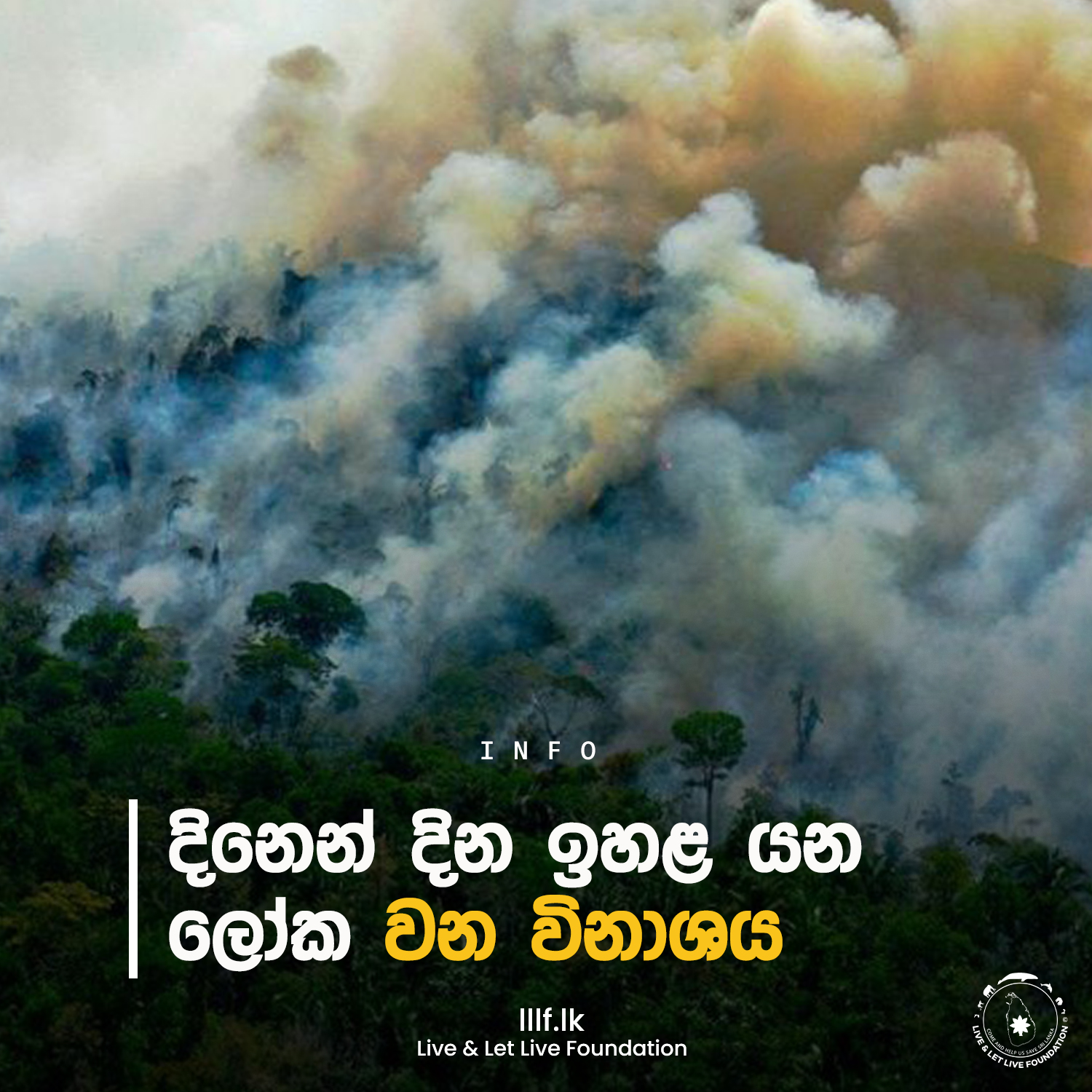 දිනෙන් දින ඉහළ යන ලෝක වන විනාශ