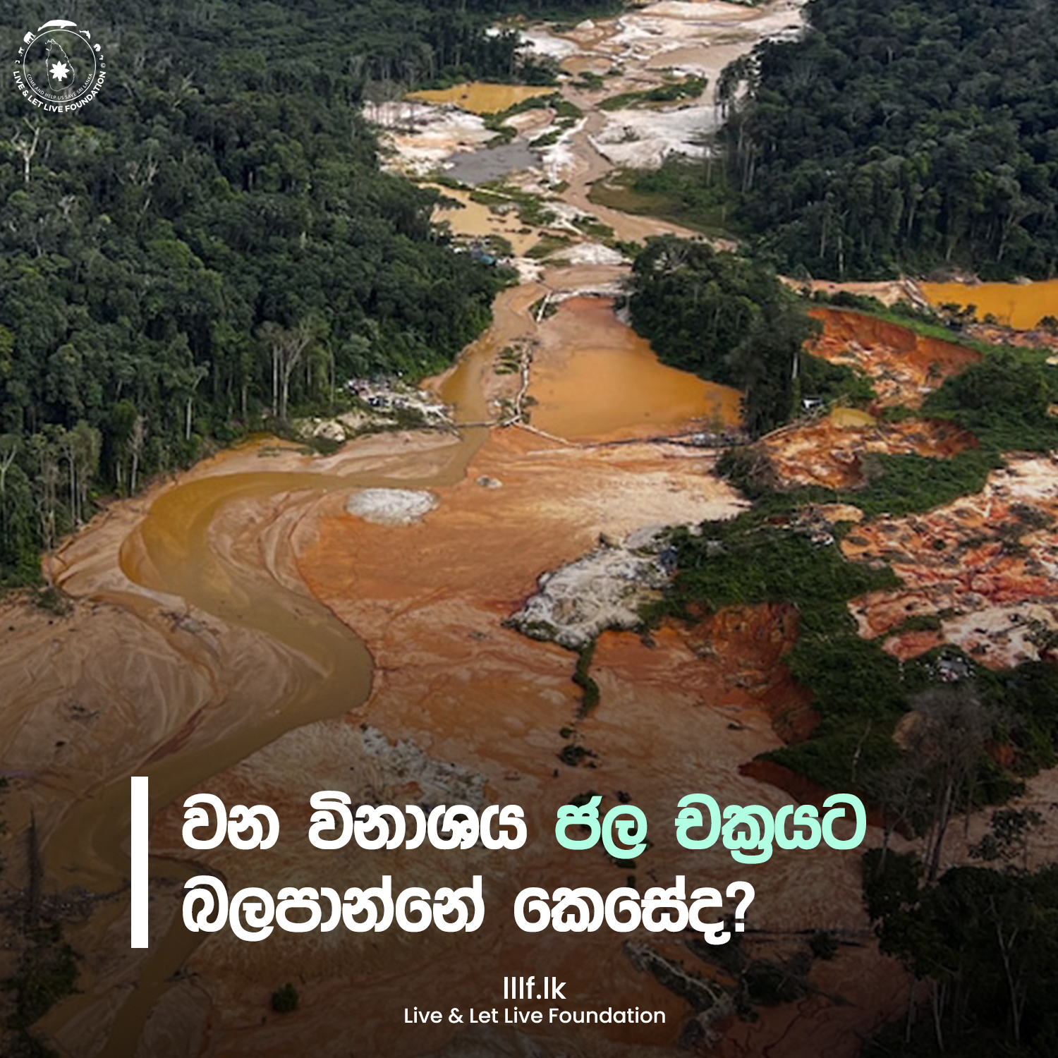 වන විනාශය ජල චක්‍රයට බලපාන්නේ කෙසේද?