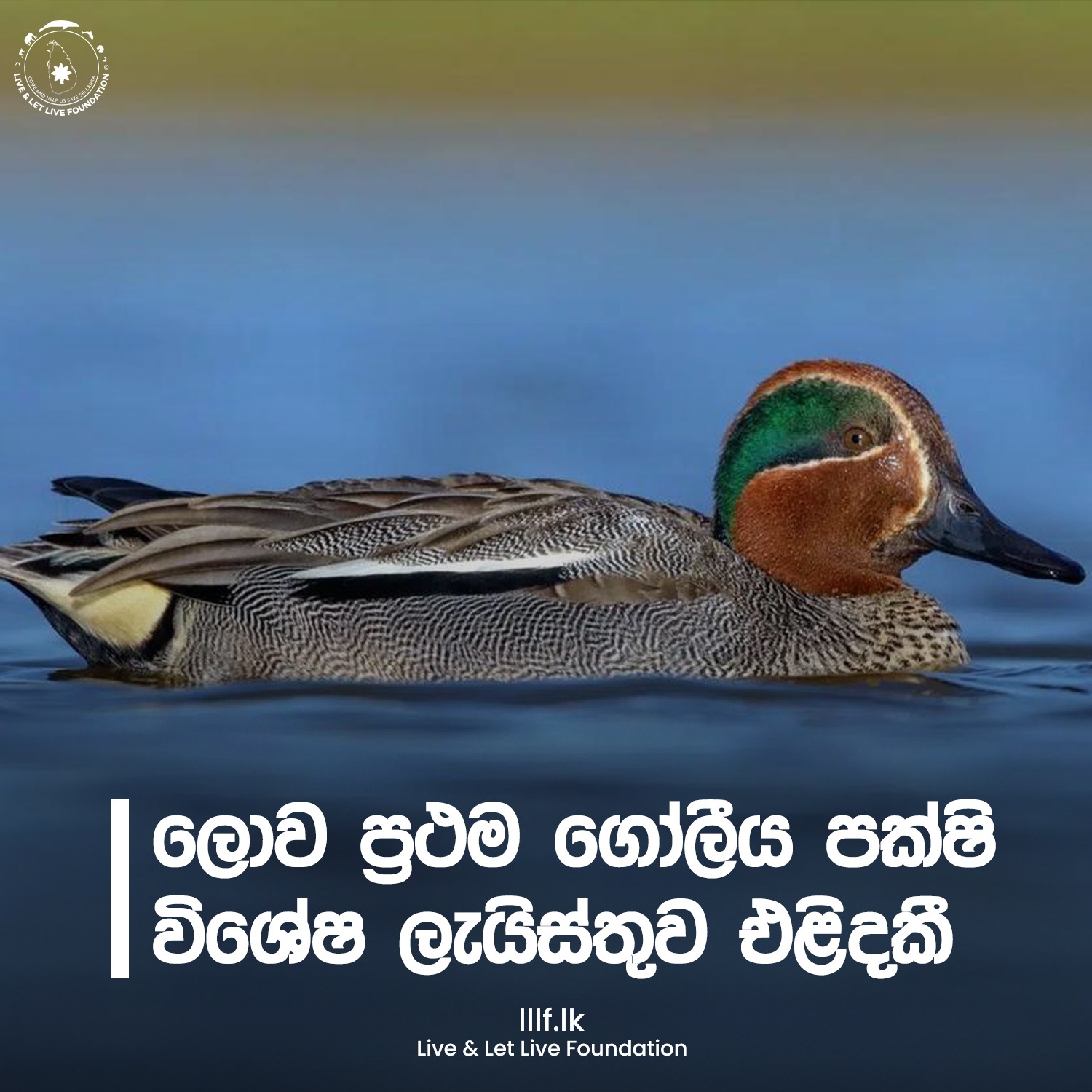 ලොව ප්‍රථම ගෝලීය පක්ෂි විශේෂ ලැයිස්තුව එළිදකී