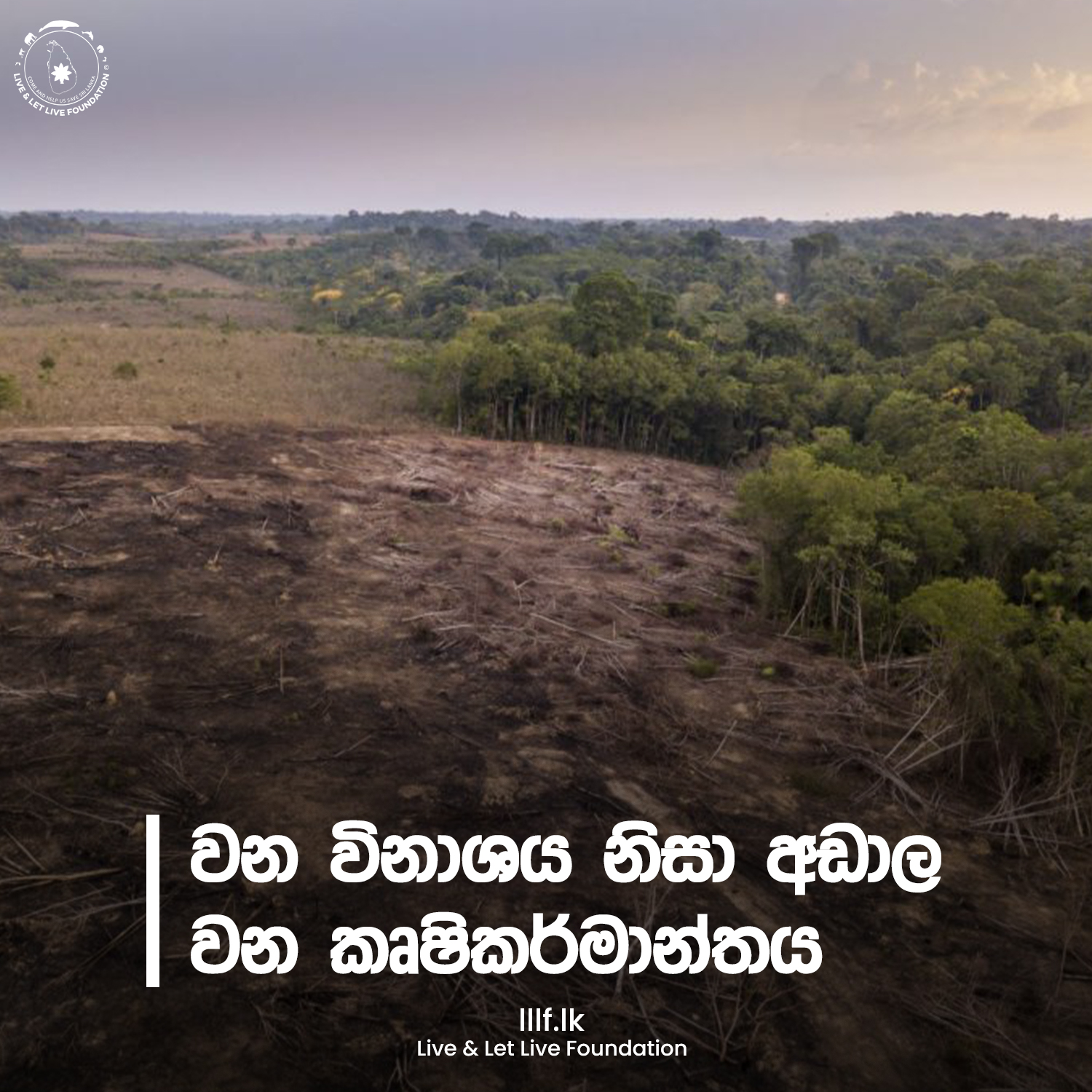 වන විනාශය නිසා අඩාල වන කෘෂිකර්මාන්තය