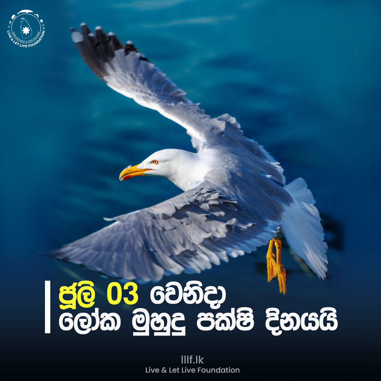 ජූලි 03 වෙනිදා ලෝක මුහුදු පක්ෂි දිනයයි