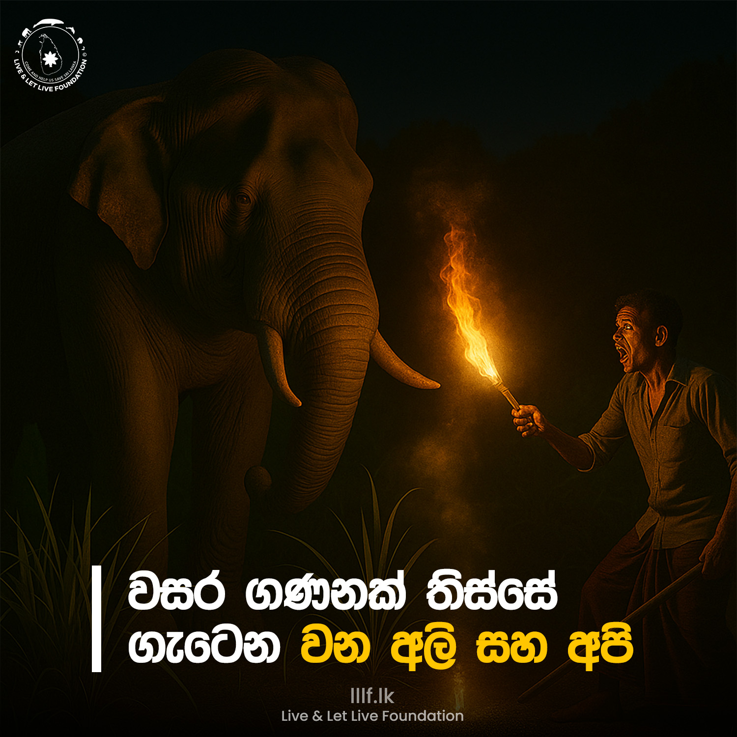වසර ගණනක් තිස්සේ ගැටෙන වන අලි සහ අපි