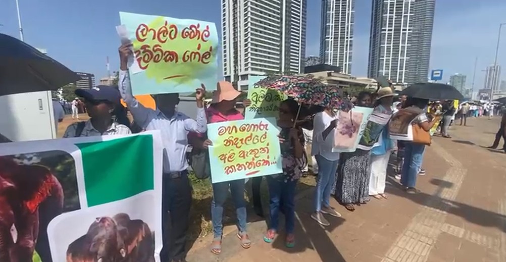 "එන්න හඬක් නැති ඔවුන්ට හඬක් වෙමු" ....