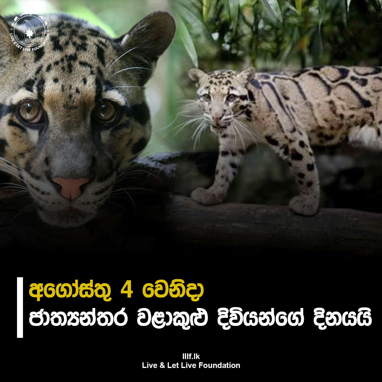 අගෝස්තු 04 වෙනිදා ජාත්‍යන්තර වලාකුළු දිවියන් දිනයයි