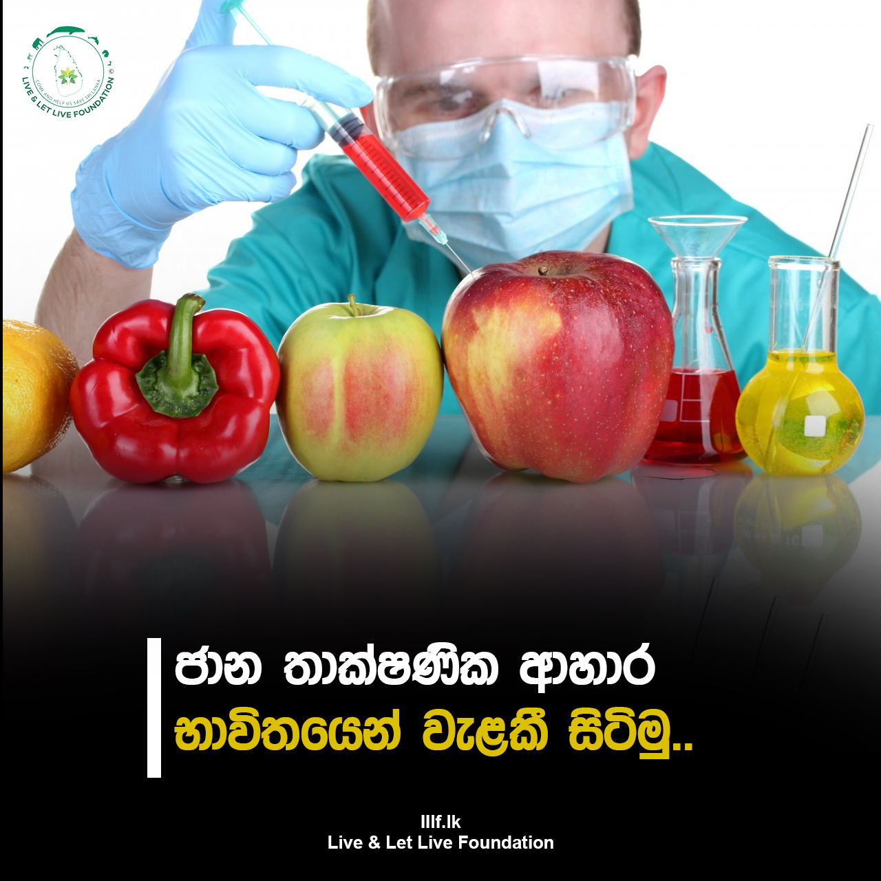 ජානමය වශයෙන් ඉංජිනේරුමය ආහාර එපා කියන්න: අපගේ දරුවන් සහ අනාගත පරම්පරාවන් ආරක්ෂා කිරීම