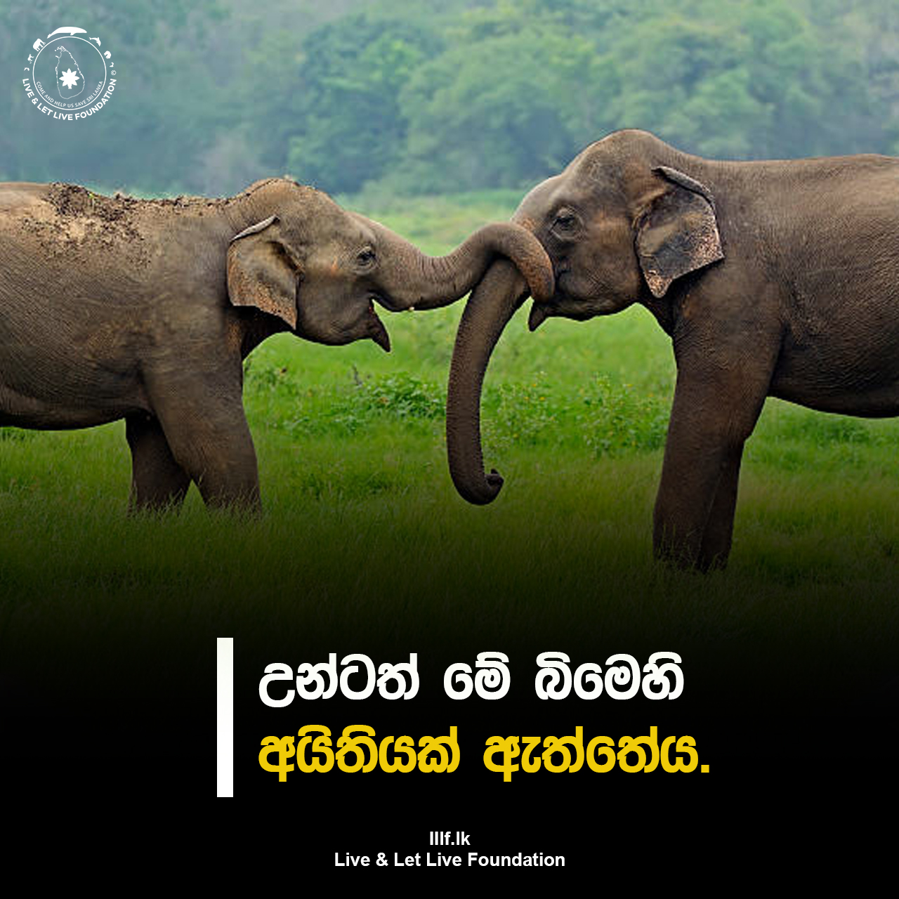 උන්ටත් මේ බිමෙහි අයිතියක් ඇත්තේය