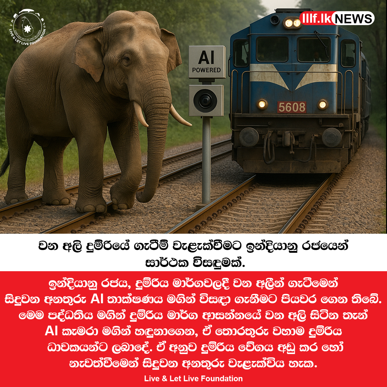වන අලි දුම්රියේ ගැටීම් වැළැක්වීම සඳහා AI තාක්ෂණයෙන් අලුත් විසඳුමක් 