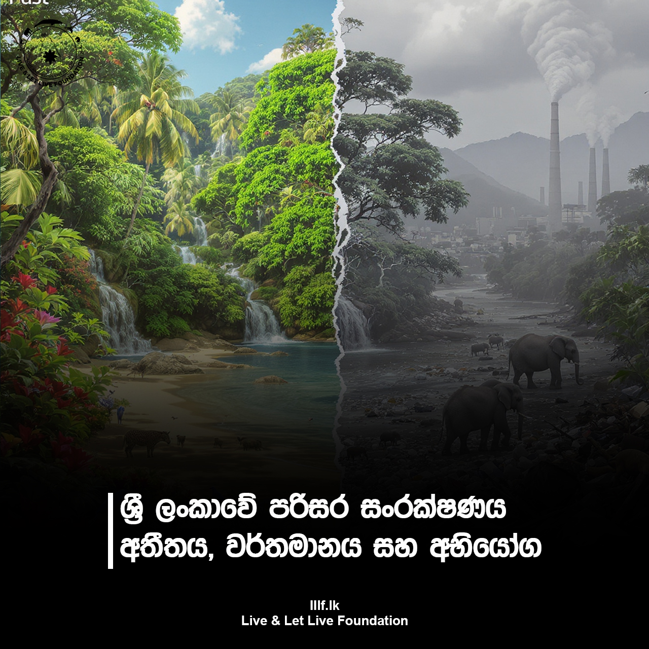 පරිසර සංරක්ෂණය: ශ්‍රී ලංකාවේ අතීතය, වර්තමානය සහ අභියෝග