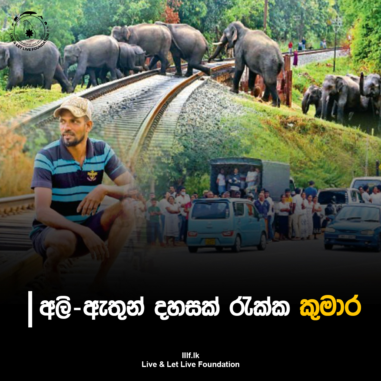   අලි-ඇතුන් දහසක් රැක්ක කුමාර