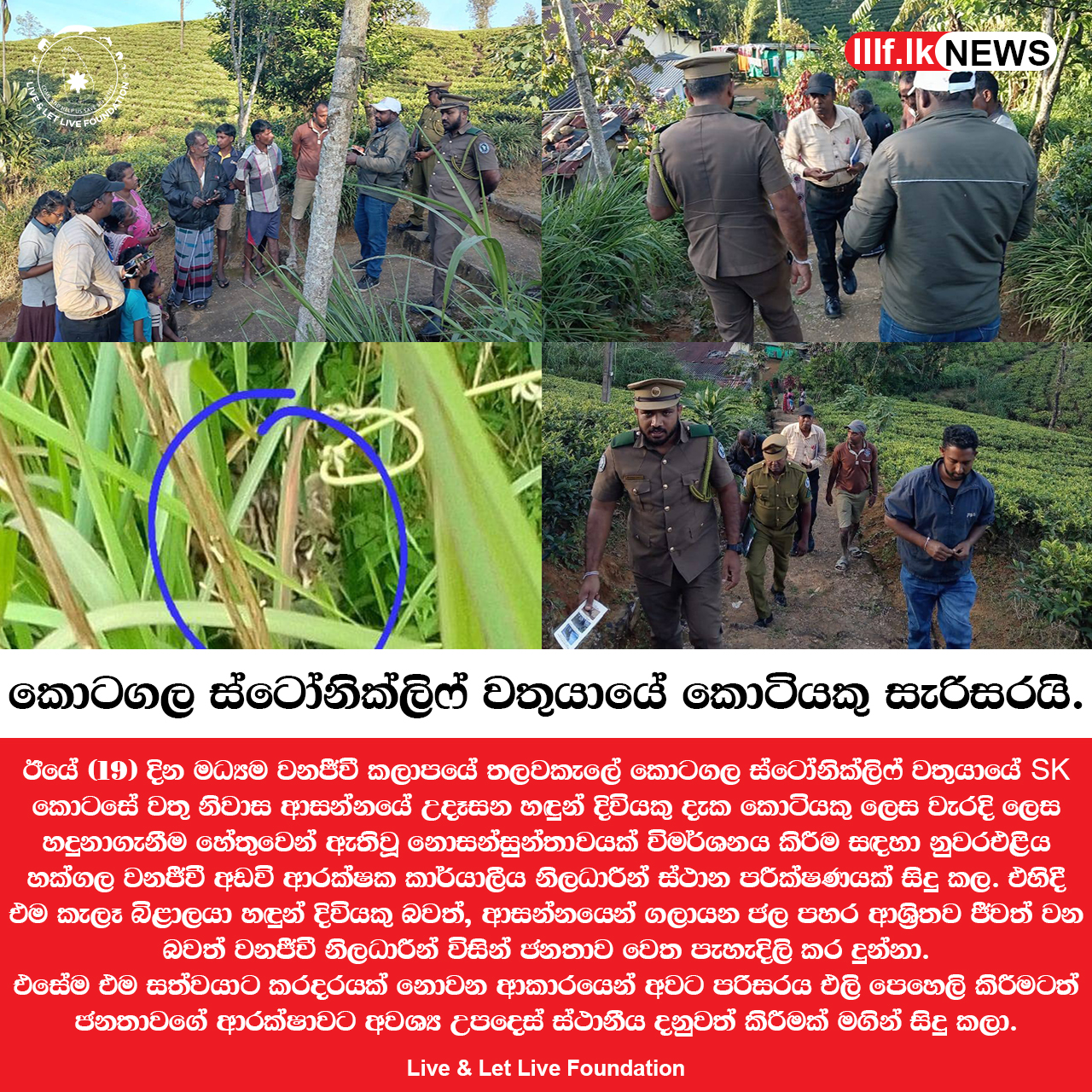 කොටසේ වතු නිවාස ආසන්නයේ සැරිසැරුවේ කොටියක් ද?
