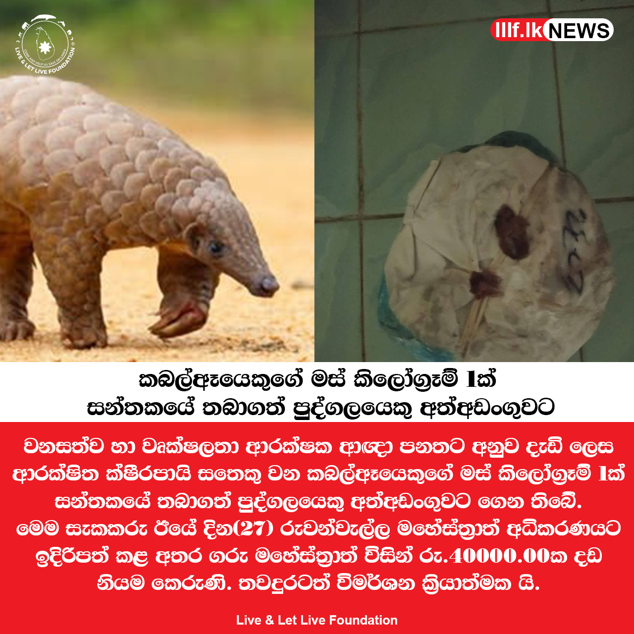 කබල්ඈයෙකුගේ මස් කිලෝග්‍රෑම් 1ක් සන්තකයේ තබාගත් පුද්ගලයෙකු අත්අඩංගුවට