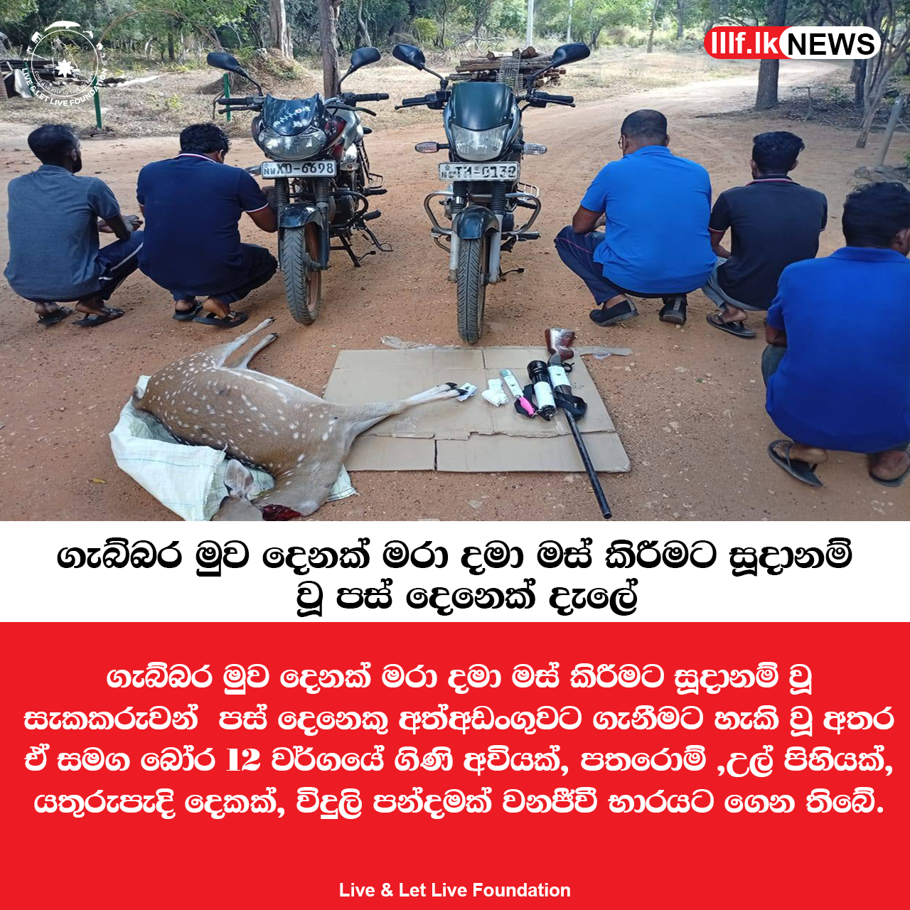 ගැබ්බර මුව දෙනක් මරා දමා මස් කිරීමට සූදානම්  වූ පස් දෙනෙක් දැලේ