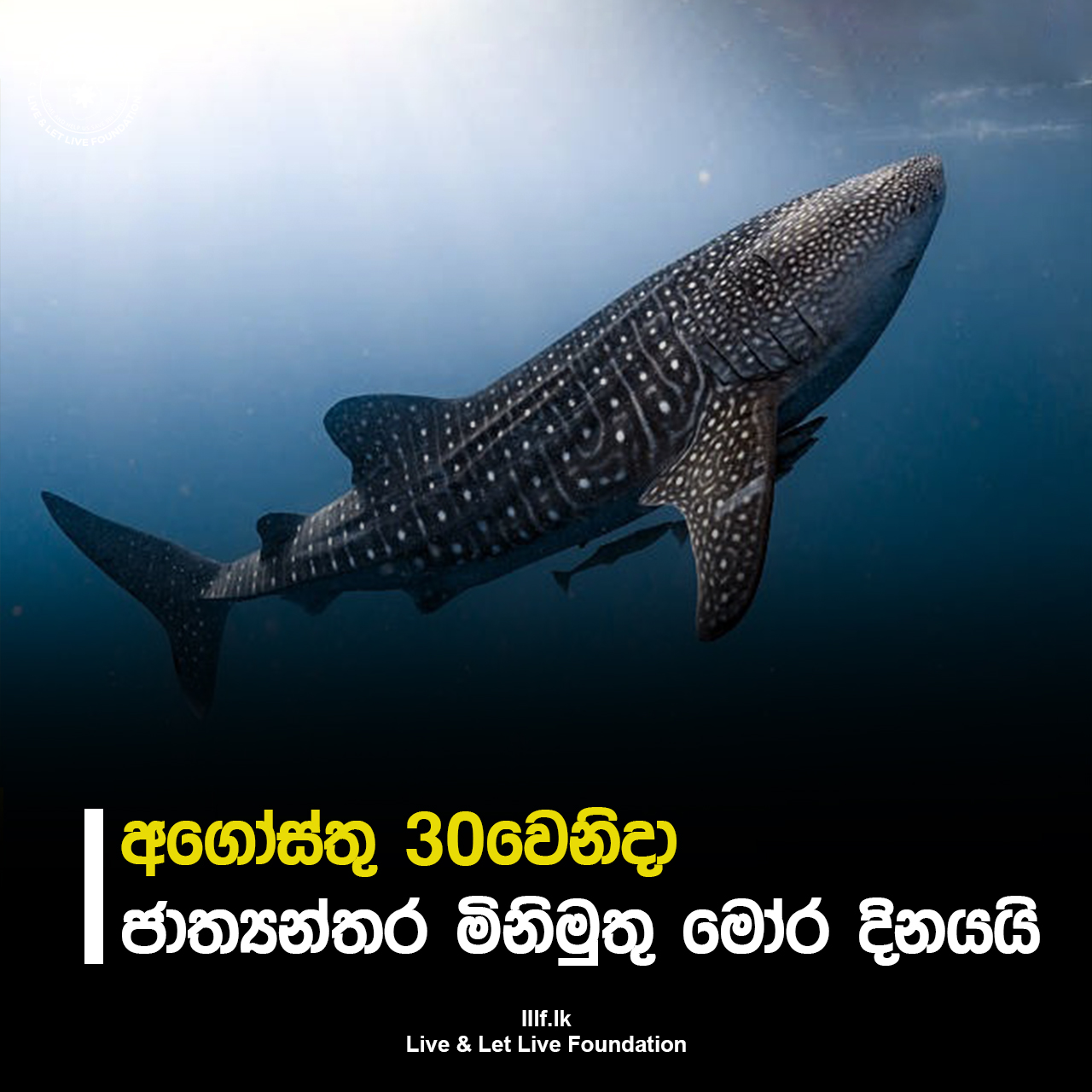 අගෝස්තු 30වෙනිදා  ජාත්‍යන්තර මිනිමුතු මෝර දිනයයි