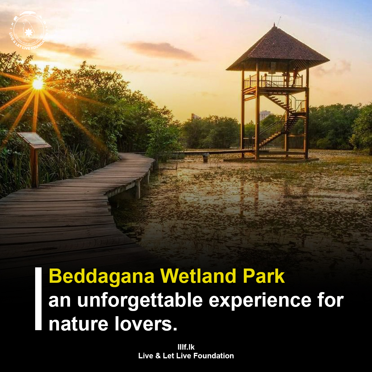   Beddagana Wetland Park offers an unforgettable experience for nature lovers
