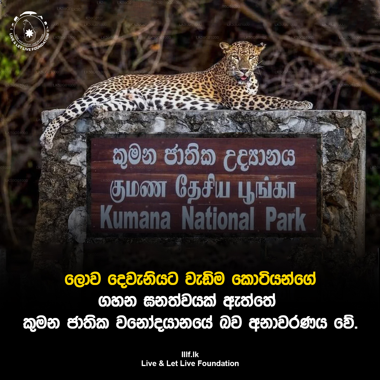ලොව දෙවැනියට වැඩිම කොටියන්ගේ ඝනත්වයක් ඇති වනෝද්‍යානය කුමන ජාතික වනෝද්‍යානයයි