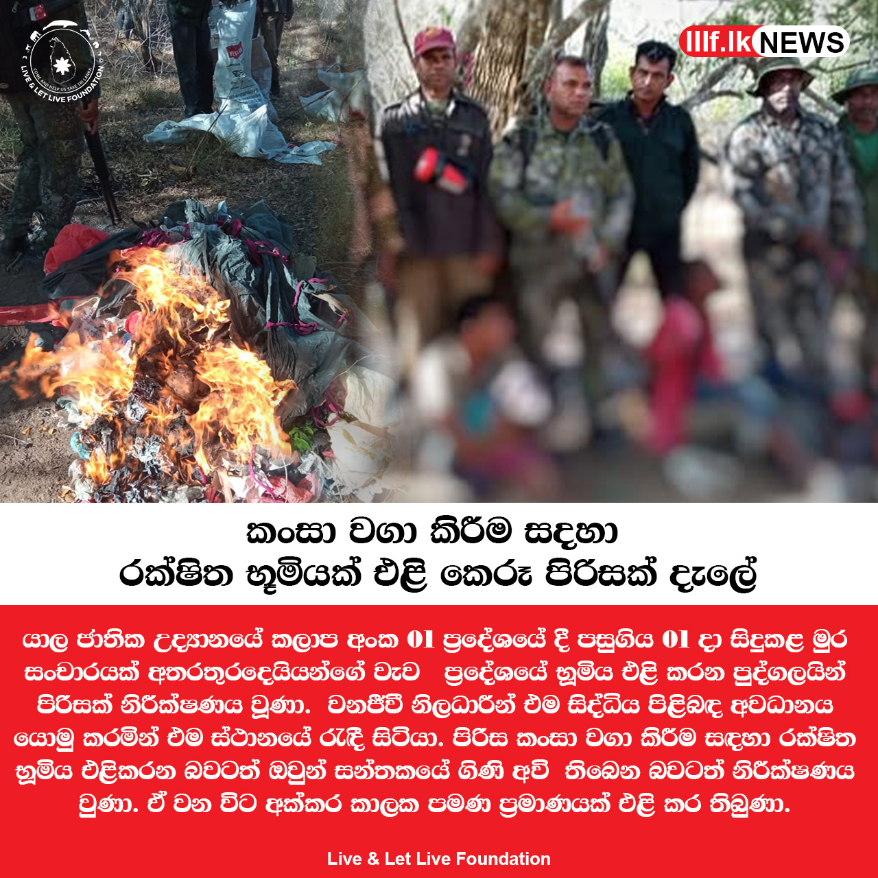 කංසා වගා කිරීම සදහා රක්ෂිත භූමියක් එළි කෙරූ පිරිසක් දැලේ