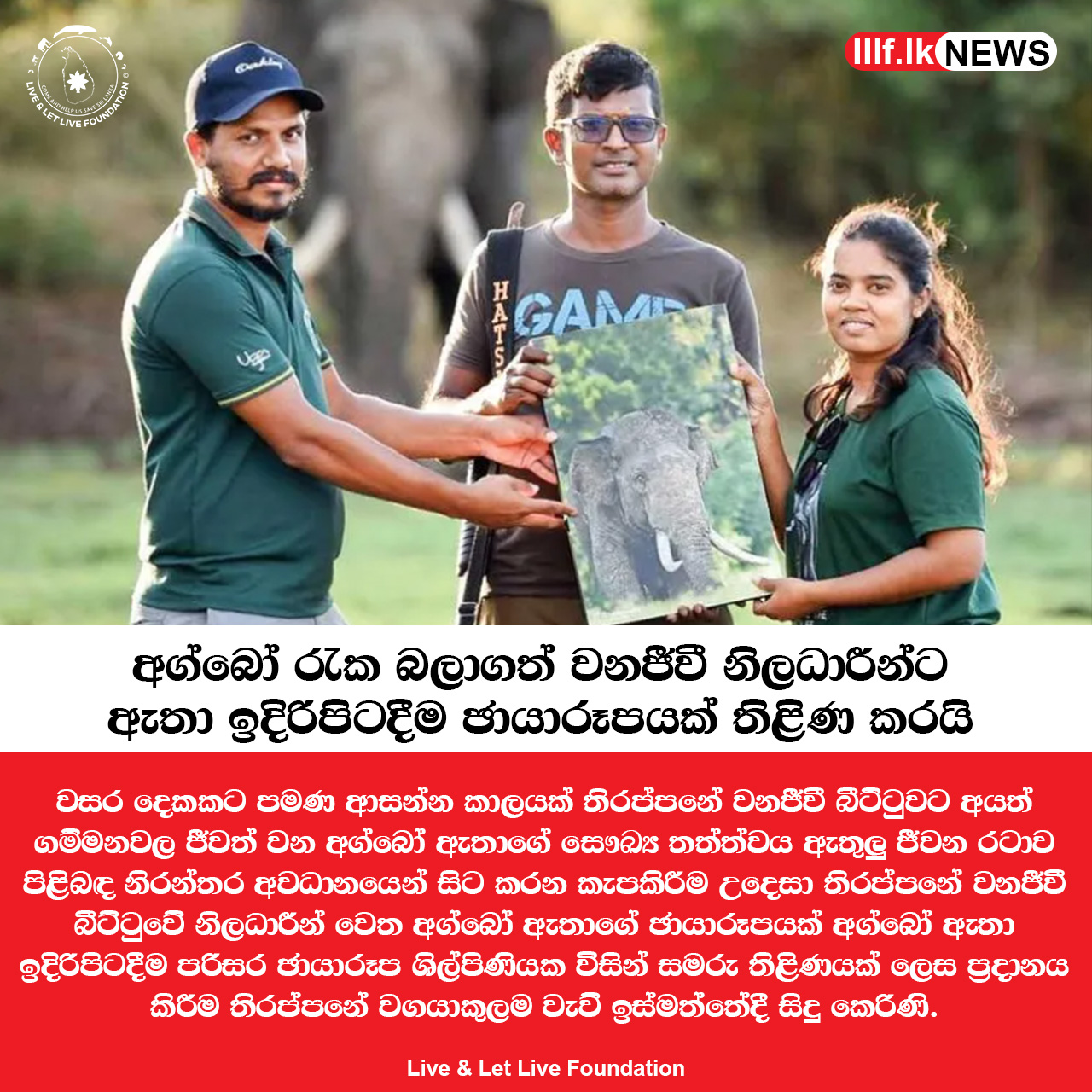 අග්බෝ රැක බලාගත් වනජීවී නිලධාරීන්ට ඇතා ඉදිරිපිටදීම තිළියක්