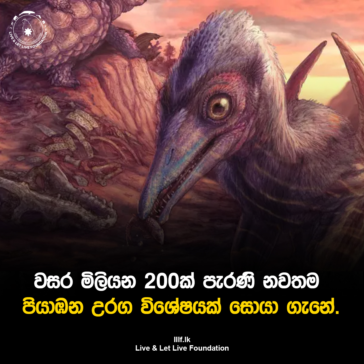 වසර මිලියන 200ක් පැරණි නවතම පියාඹන උරග විශේෂයක් සොයා ගැනේ.