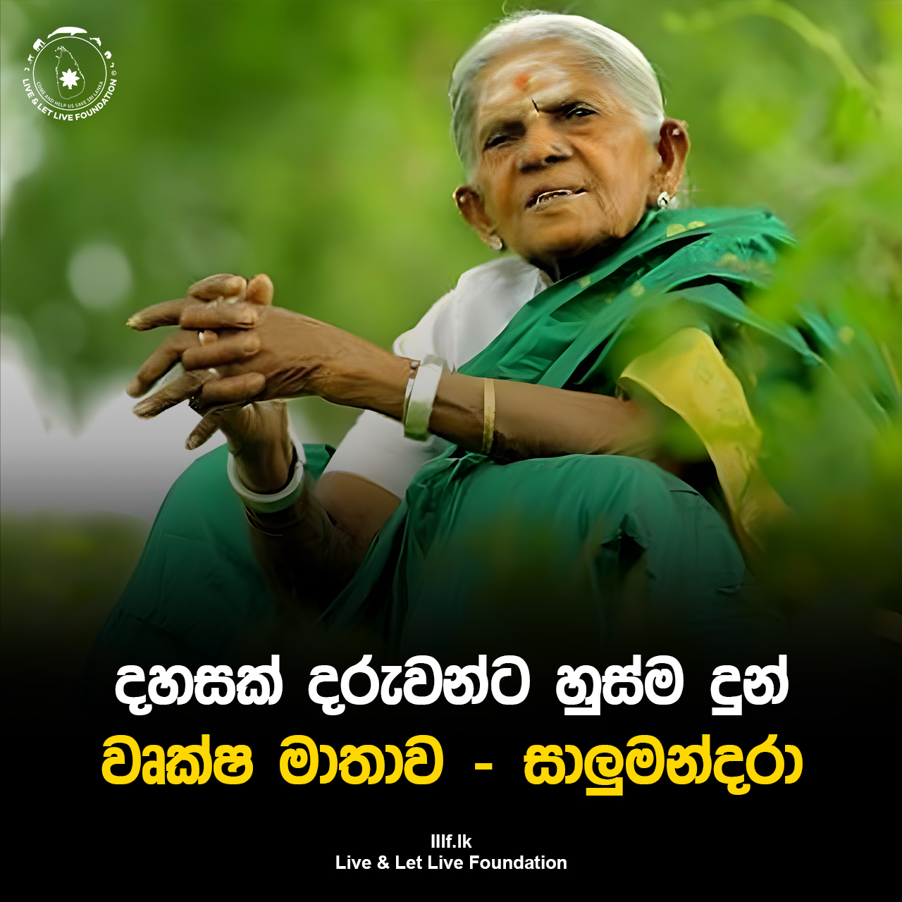 දහසක් දරුවන්ට හුස්ම දුන් වෘක්ෂ මාතාව - සාලුමන්දරා