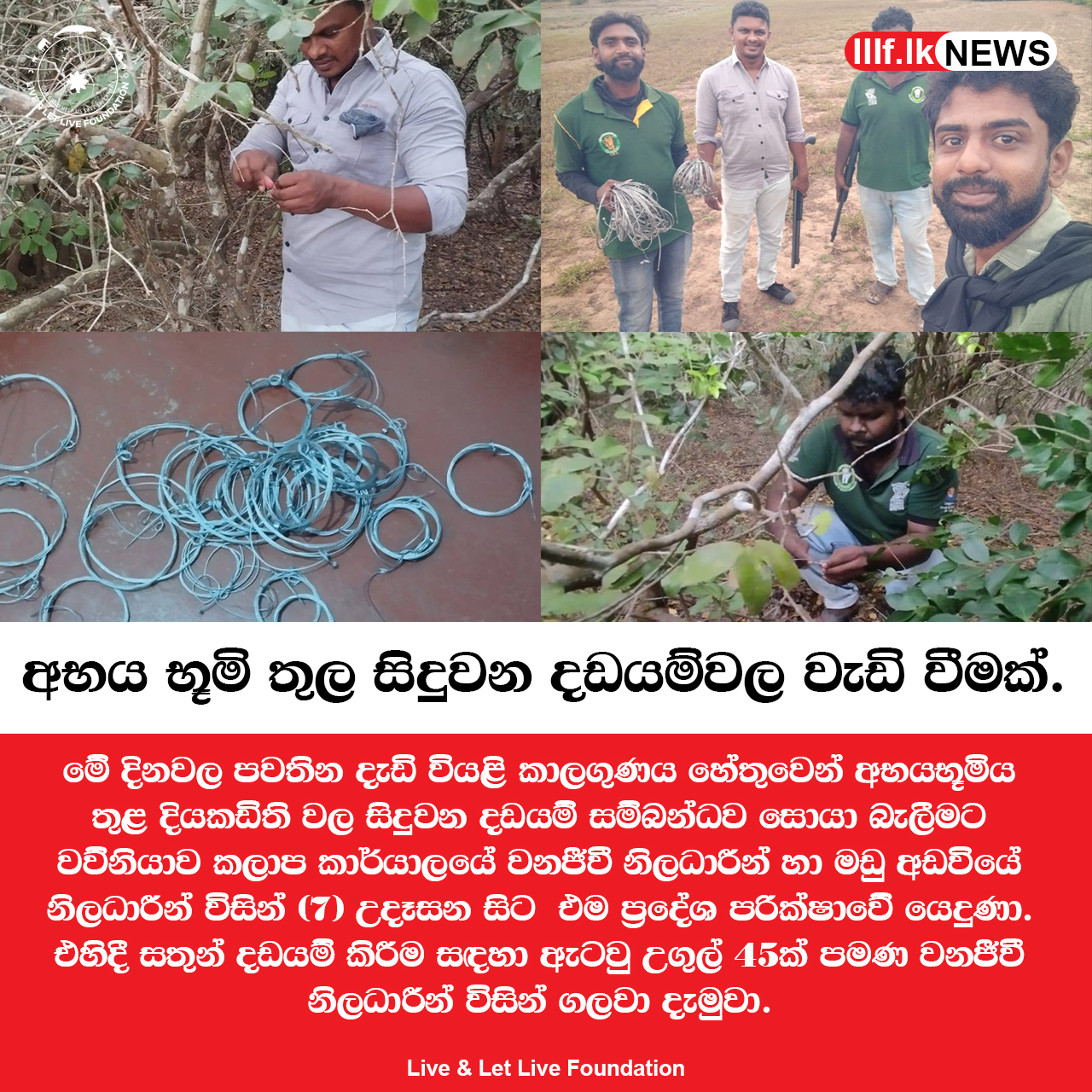දඩයම් කිරීම සඳහා ඇටවු උගුල් 45ක් සොයා ගැනේ