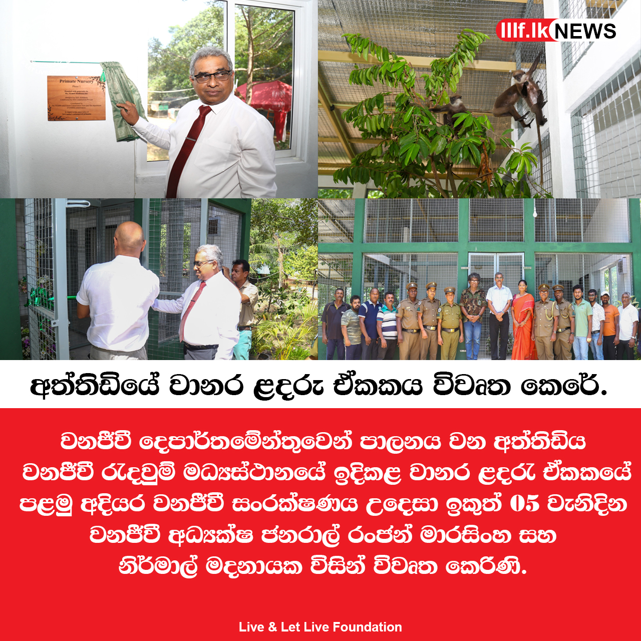 අත්තිඩියේ වානර ළදරු ඒකකයක් විවෘත කෙරේ