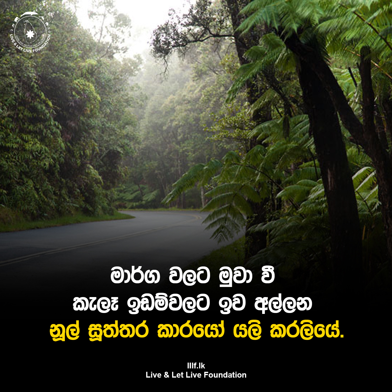 මාර්ග වලට මුවා වී කැලැ ඉඩම් අල්ලන නූල් සූත්තර කාරයෝ