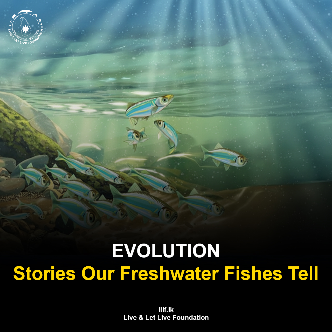EVOLUTION:stories our freshwater fishes tell