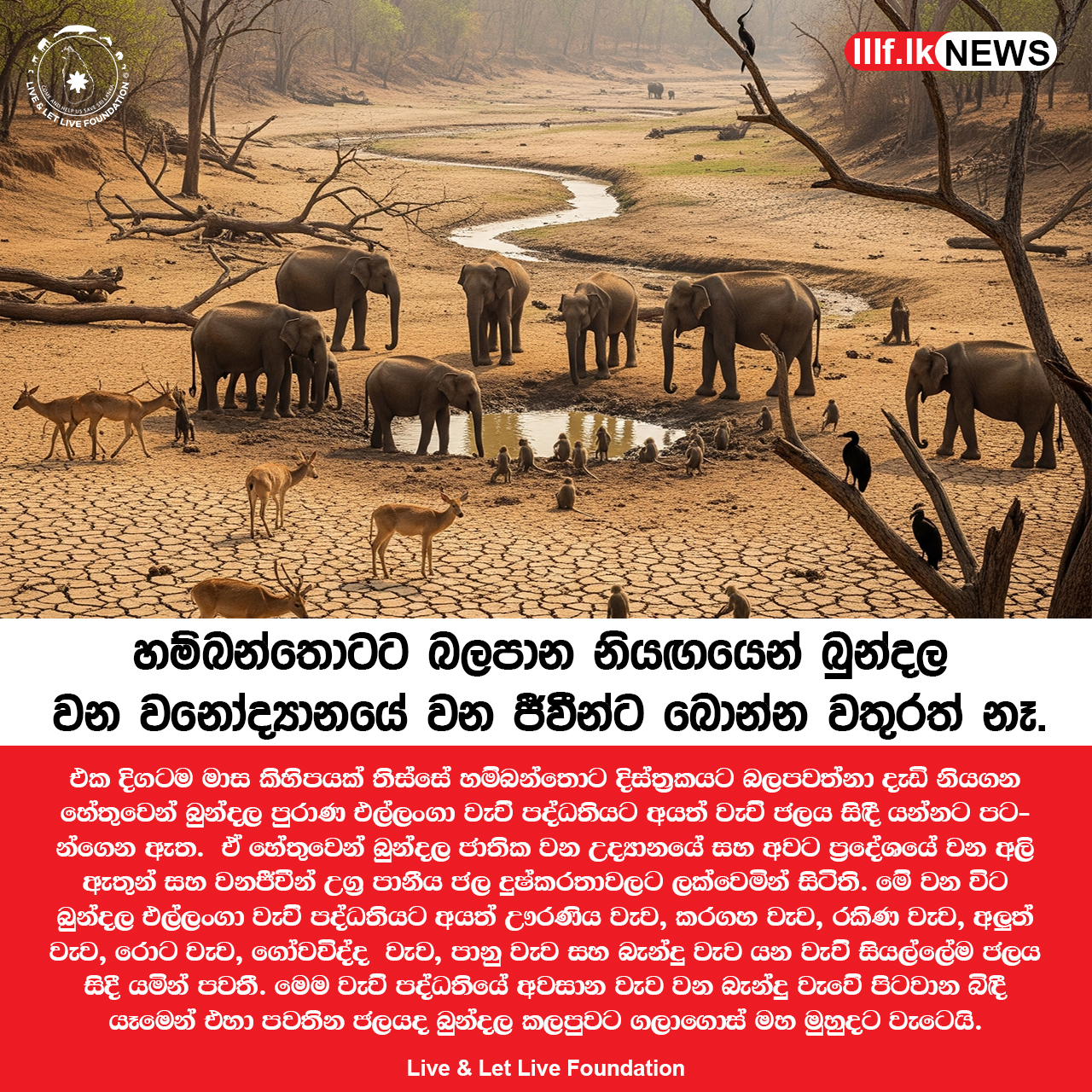 හම්බන්තොටට බලපාන නියගයෙන් බුන්දල වනෝදයානයේ වන ජීවීන්ට බොන්න වතුරත් නැ.