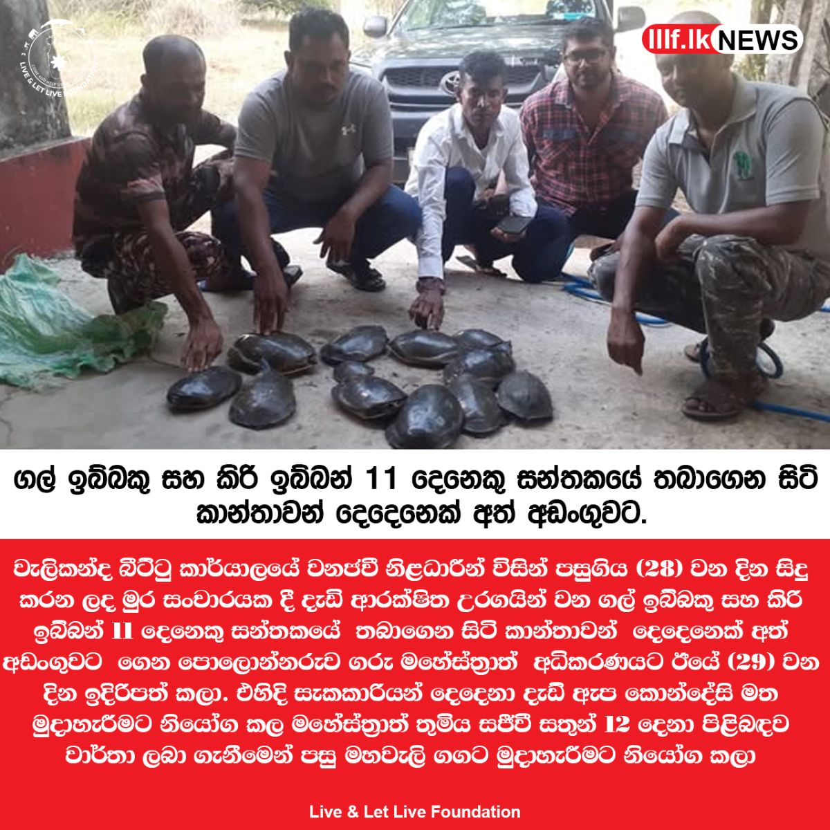 ගල් ඉබ්බකු සහ කිරි ඉබ්බන් 11 දෙනෙකු සන්තකයේ  තබාගෙන සිටි කාන්තාවන්  දෙදෙනෙක් අත්අඩංගුවට